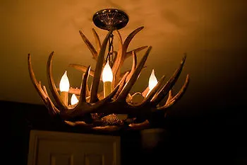 Bed & Breakfast The Plough