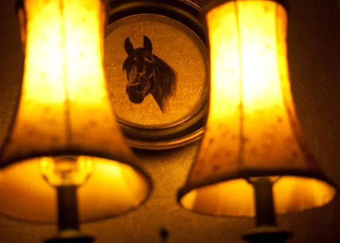 The Plough Frühstückspension York