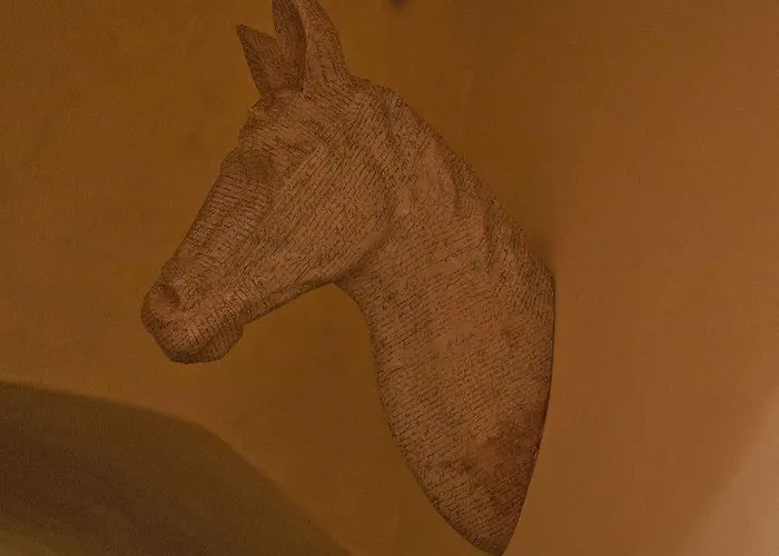 住宿加早餐酒店 普劳酒店